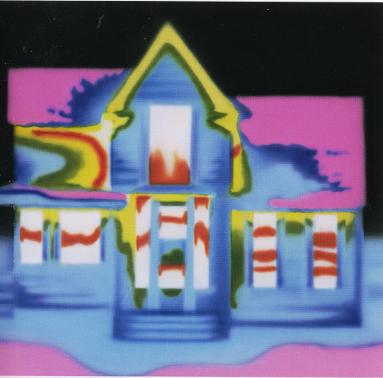 thermal image before