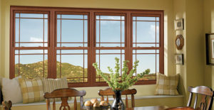 replacement window